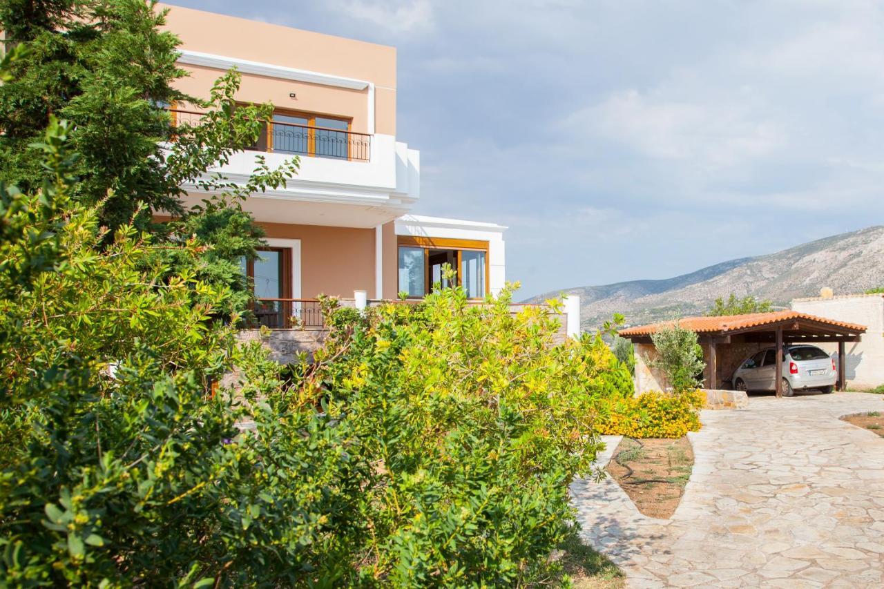 Villa Apex With Seaview Lagonisi Ngoại thất bức ảnh