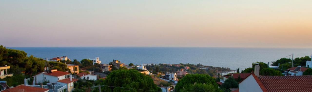 Villa Apex With Seaview Lagonisi Ngoại thất bức ảnh