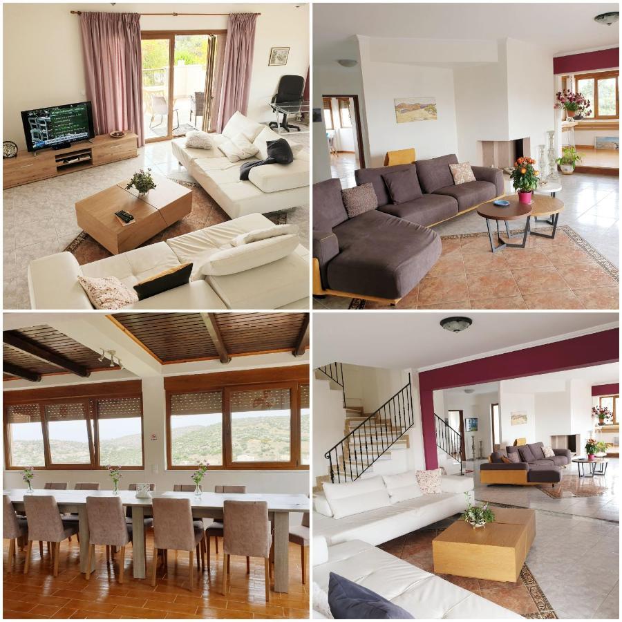 Villa Apex With Seaview Lagonisi Ngoại thất bức ảnh
